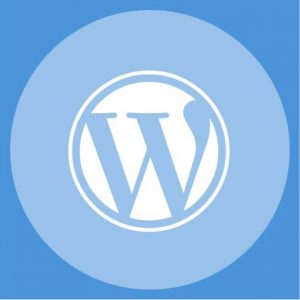 PatrolPress WordPress Installation Service